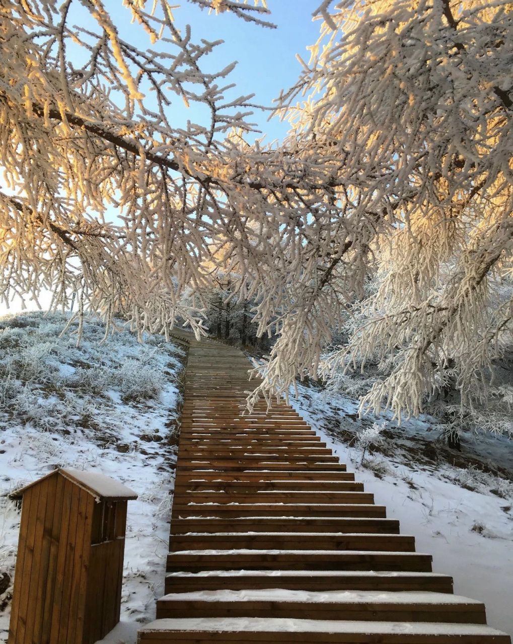 太原户外|岚县饮马池雪野徒步,走进冰天雪地 饮马池亚高山草甸位于