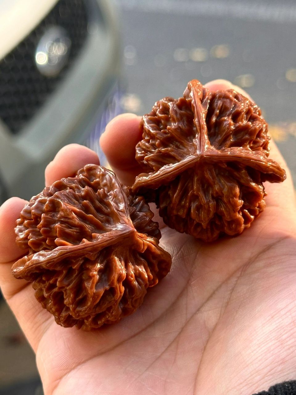 帝王三棱狮子头 包浆老核桃,蜡质皮,骨质特别好,配对也没毛病,正字奔