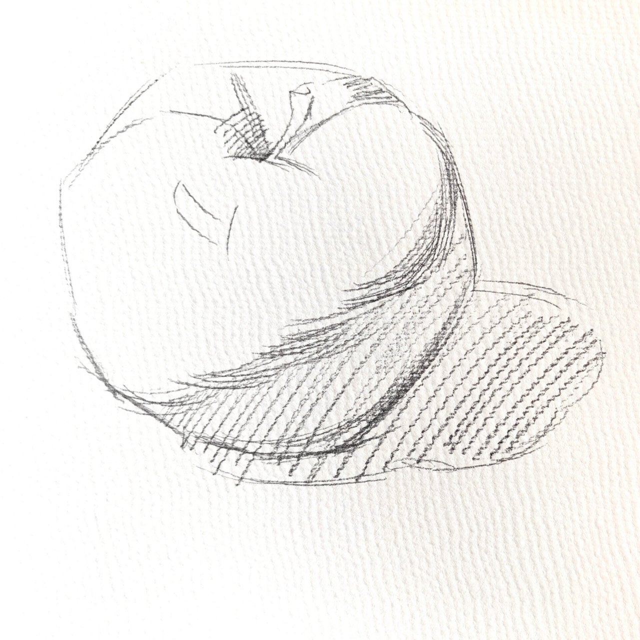 水彩单色苹果步骤