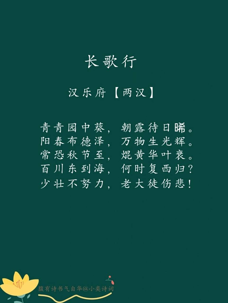 每日一诗词 | 98 《长歌行》汉乐府 92译文: 园中的葵菜都郁郁