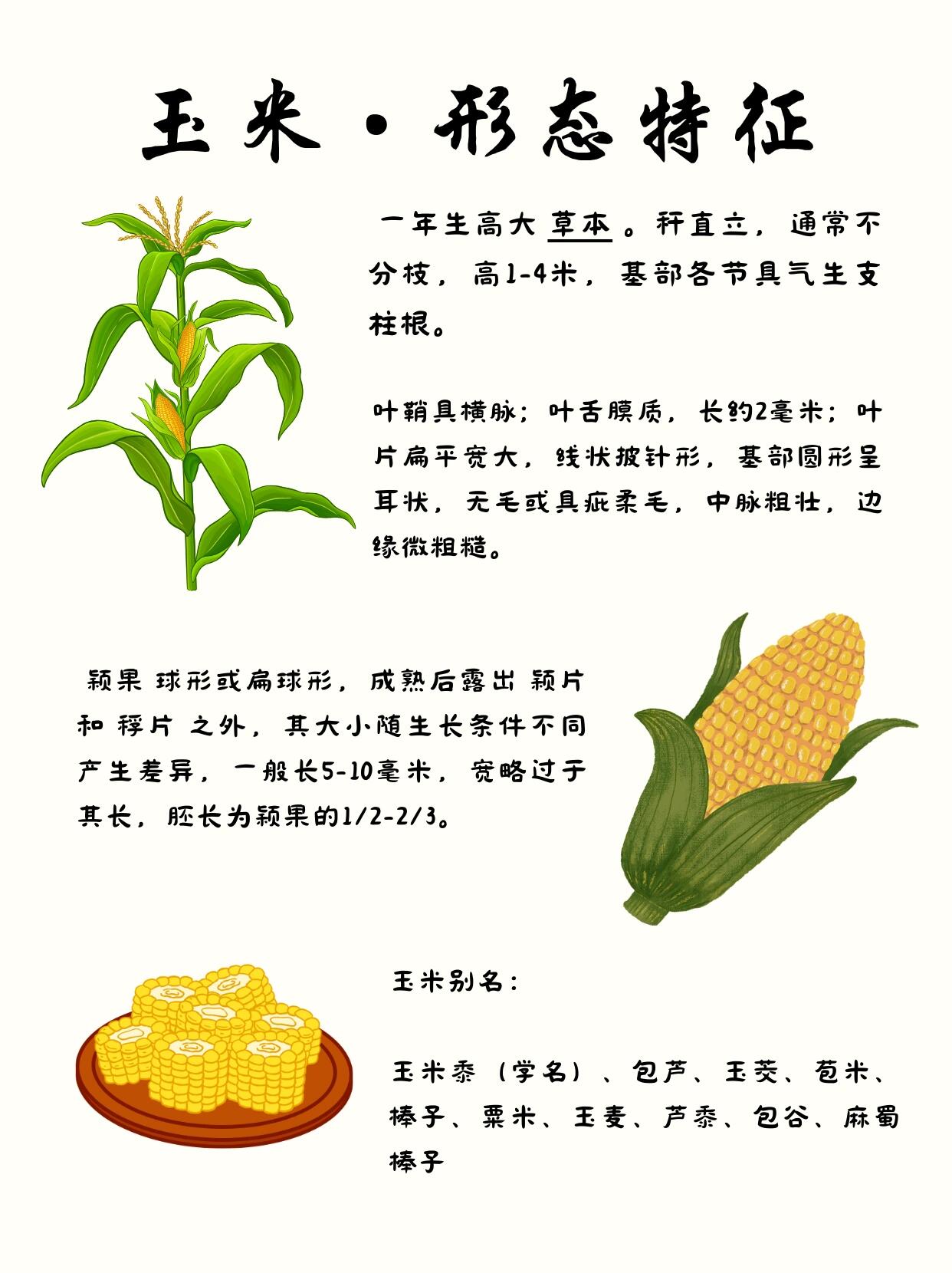 原来宋朝就有爆米花🍿了?