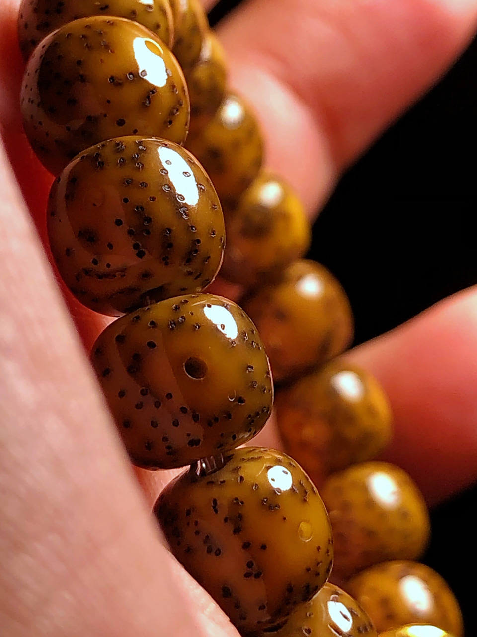 一起来晒晒你玩儿的星月菩提咋样了 包浆包浆包浆星月菩提 坐等开片了