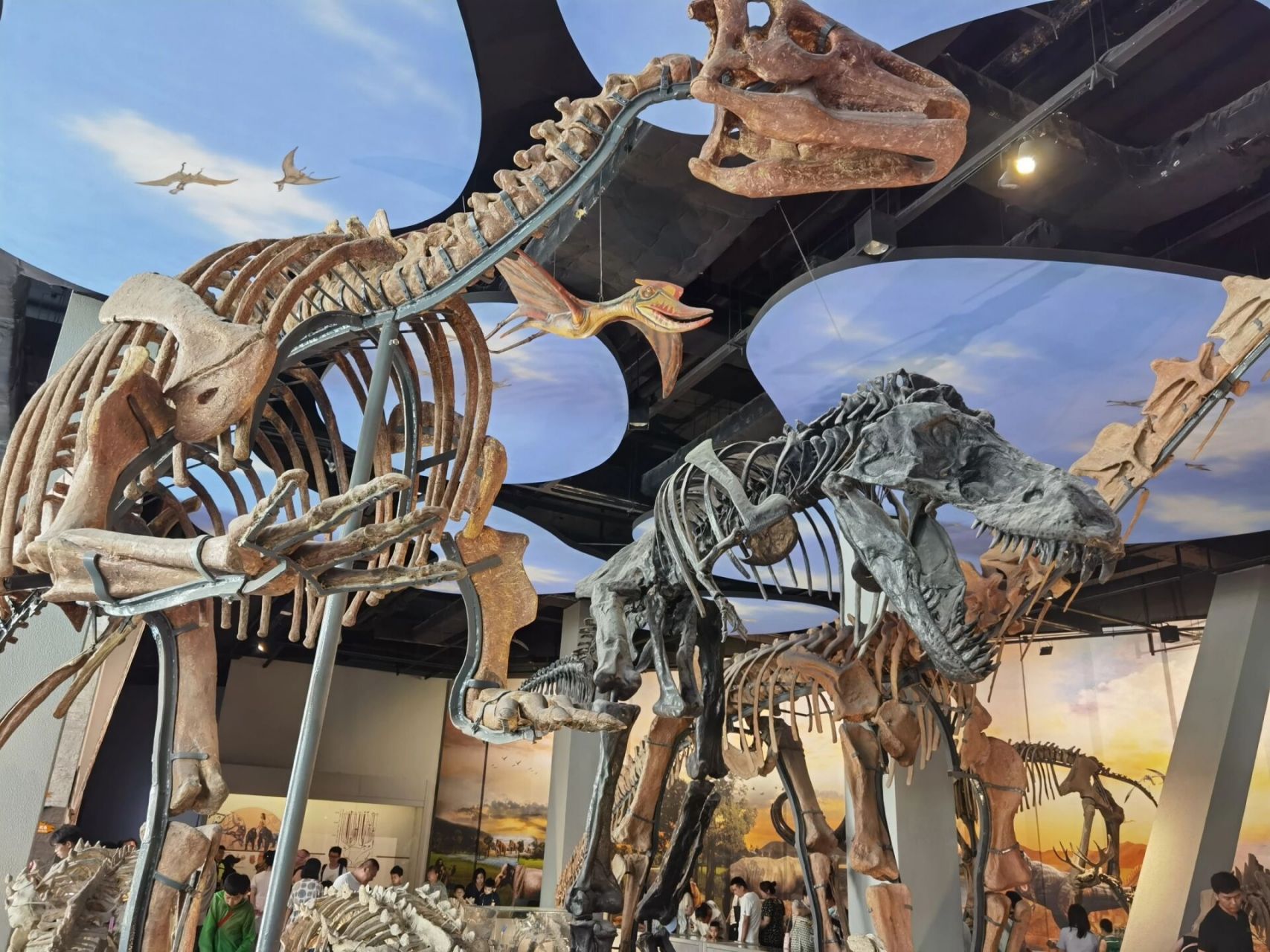 山西地质博物馆重新开放啦!