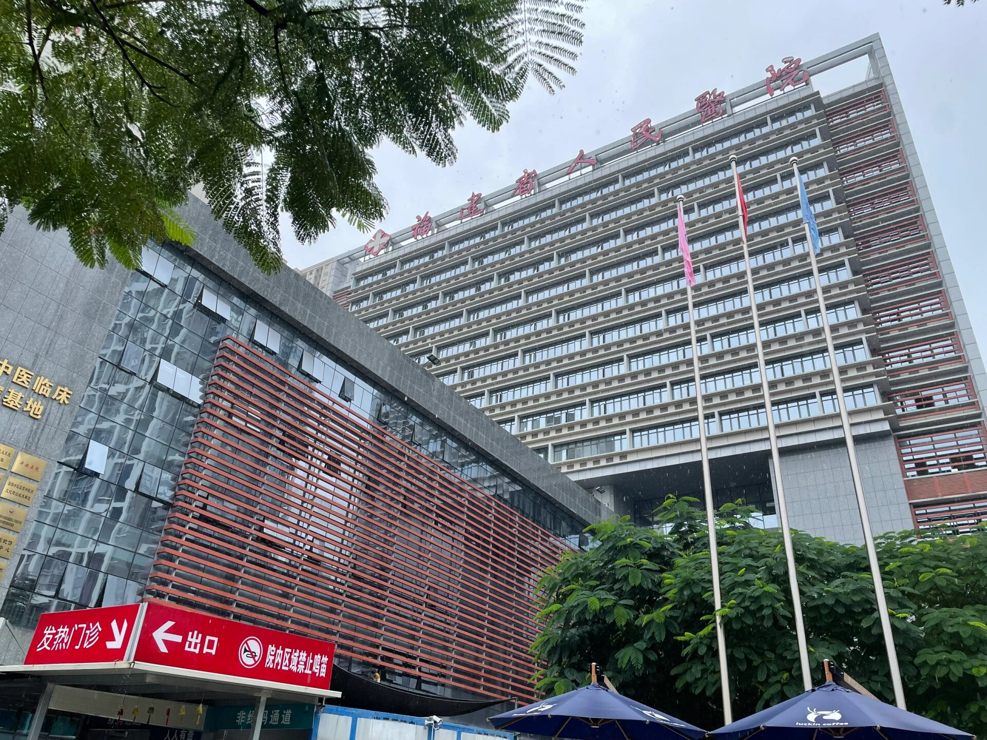 包含福建省中医学院附属人民医院(福建省人民医院)问诊代挂陪诊就医的词条 包含福建省中医学院附属人民医院(福建省人民医院)问诊代挂陪诊就医的词条