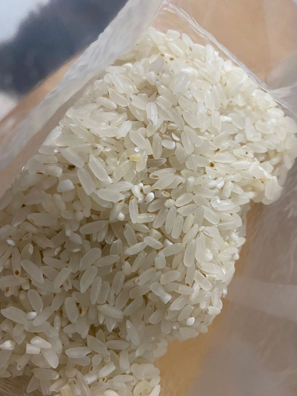 大米发黑 姐妹们 这种米芯里面发黄发黑还能吃吗