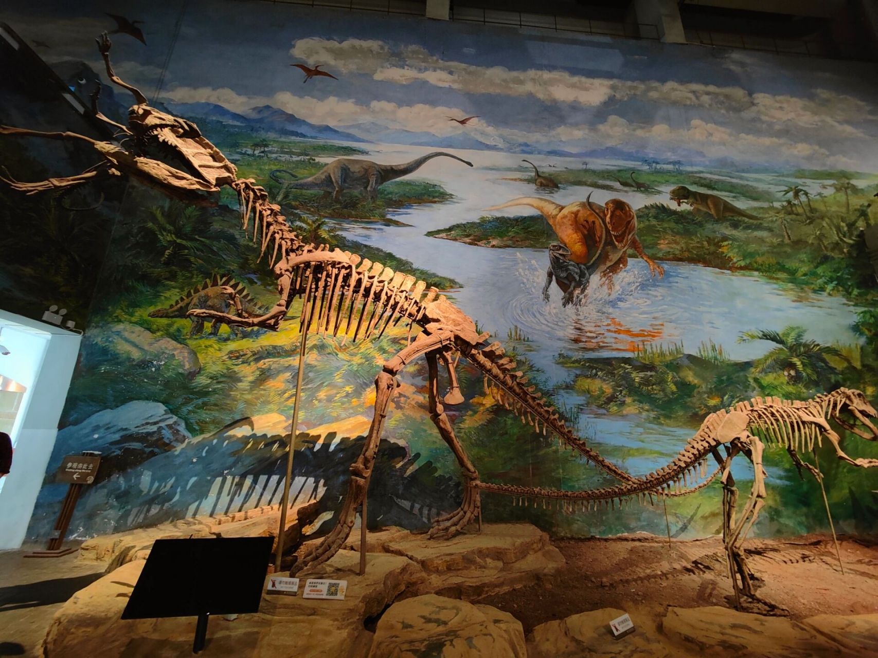 探秘侏罗纪~世界上zui大型恐龙博物馆.