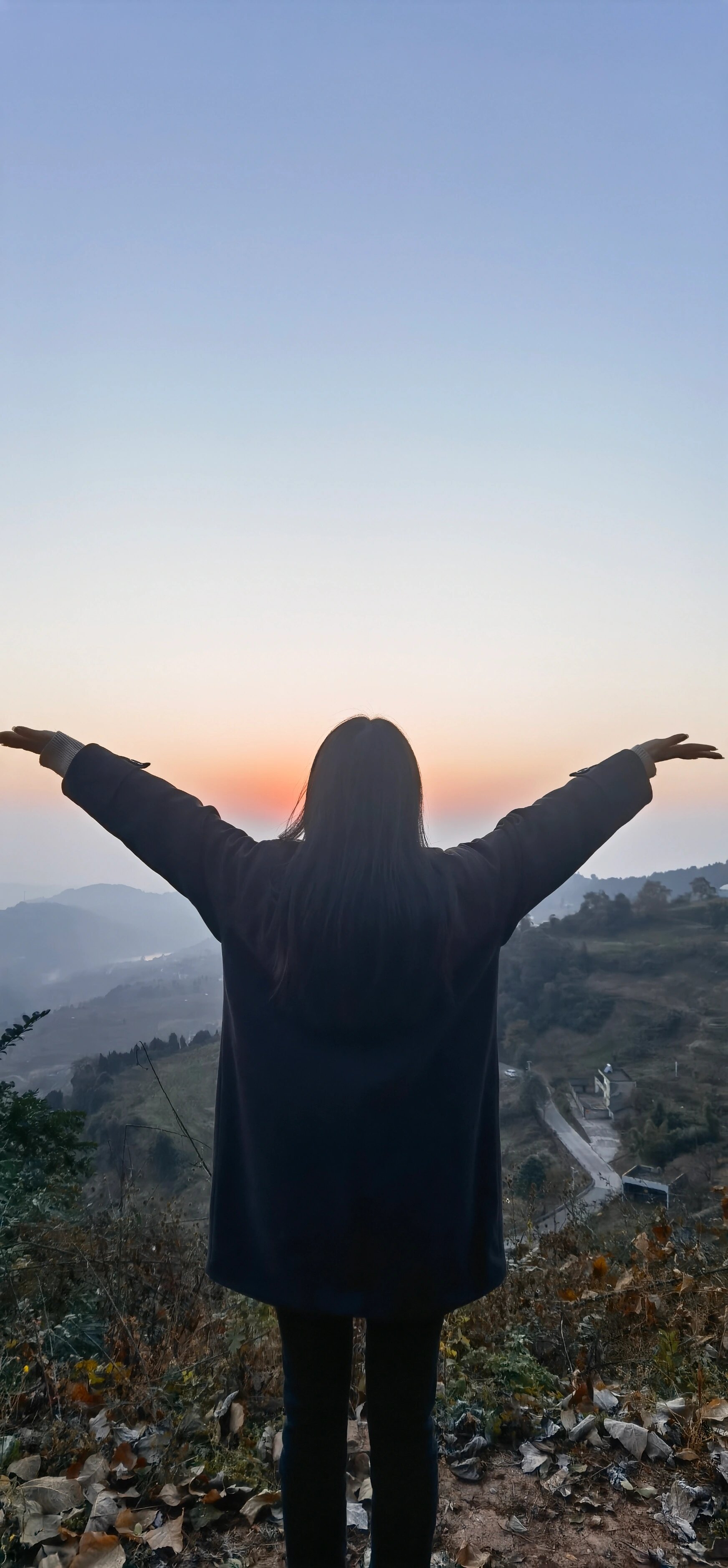 孤独沧桑女人背影图片图片