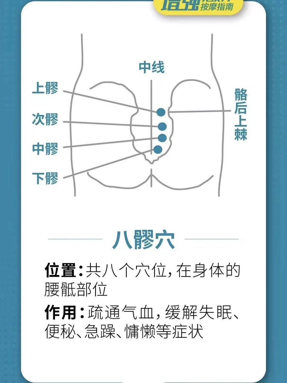 八髎的准确位置图尺寸图片