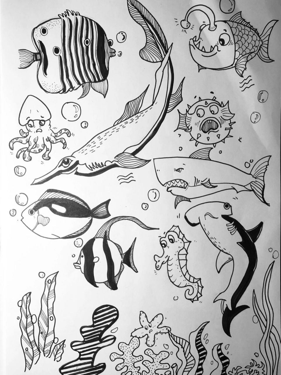 海底动物的画法图片