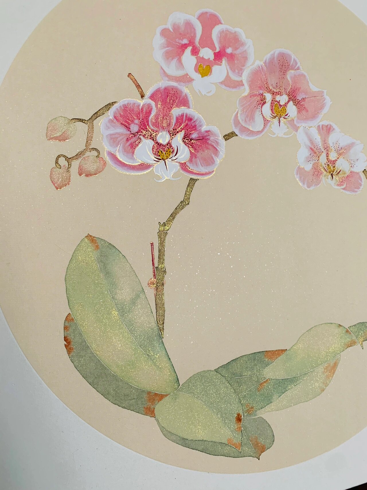 发光的蝴蝶兰—国画没骨画(含教程)