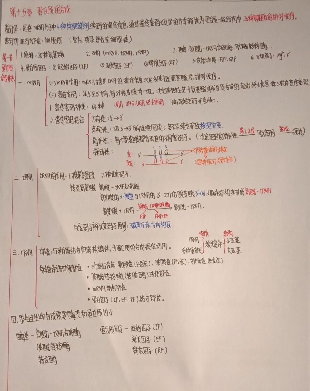 生化思维导图(第十五章 蛋白质的合成)