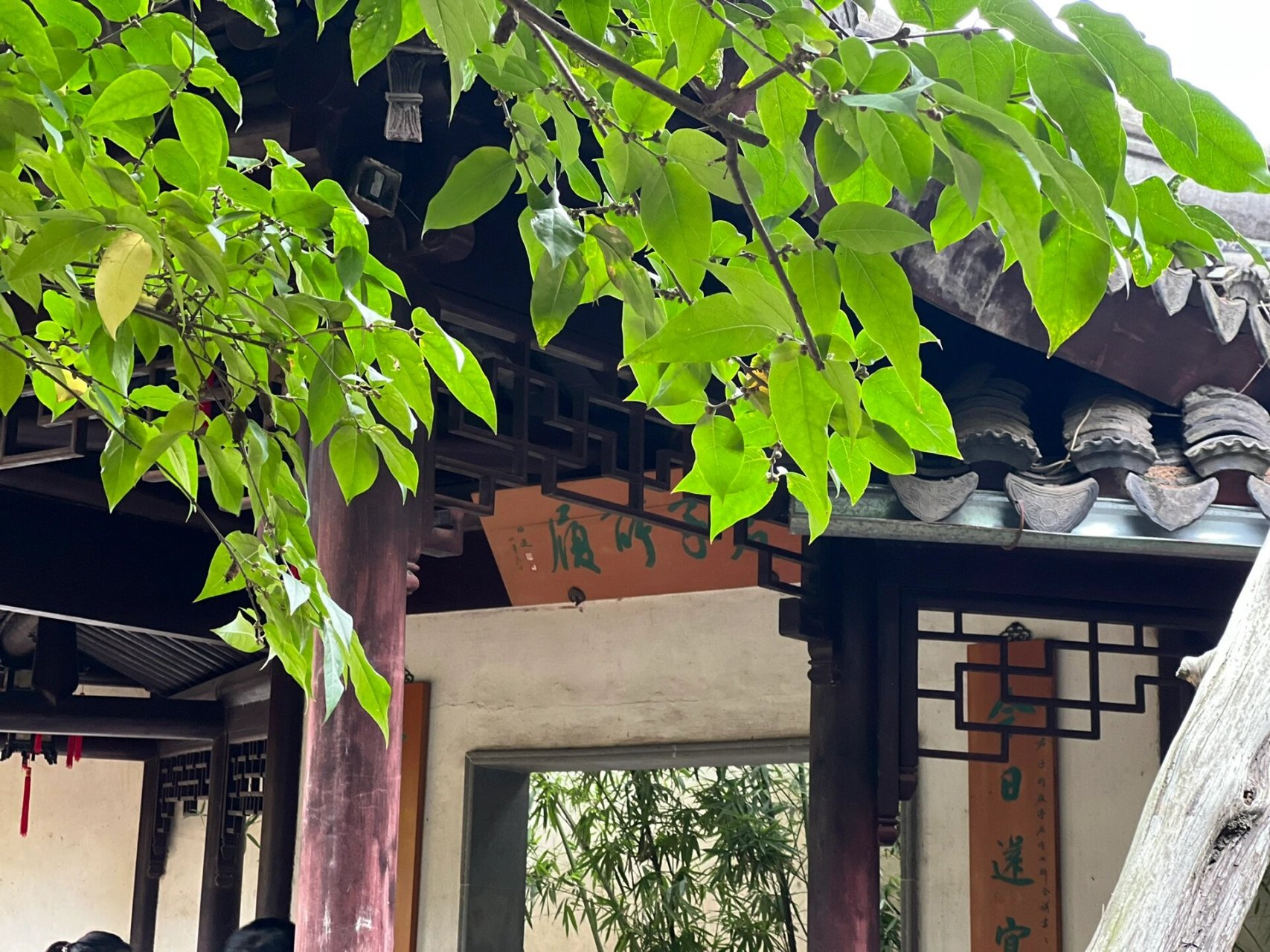 图纸 园林 亭 留园可亭 东角亭舒啸亭 留园亦不二亭 在林泉耆硕之馆