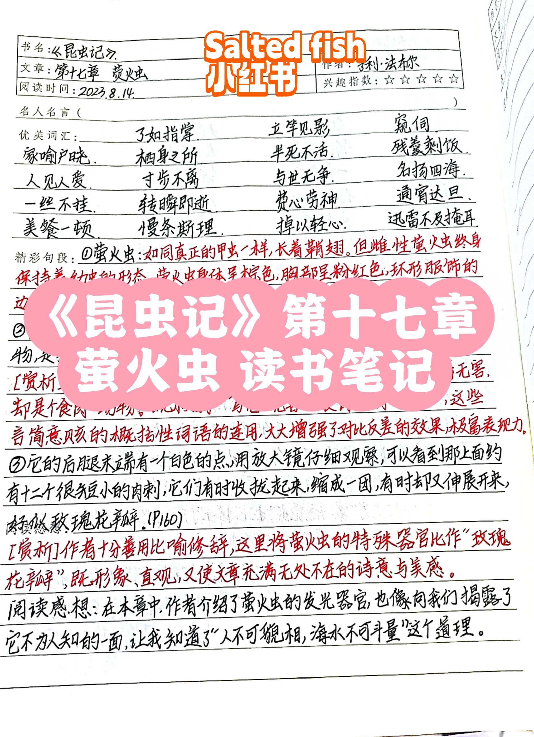 《昆虫记》第十七章 读书笔记