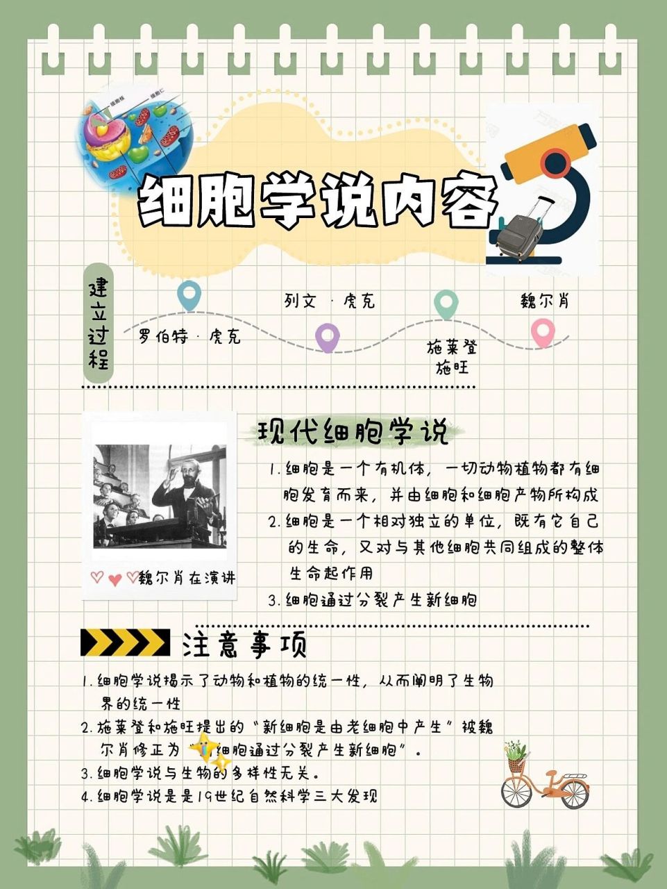 细胞学说图片