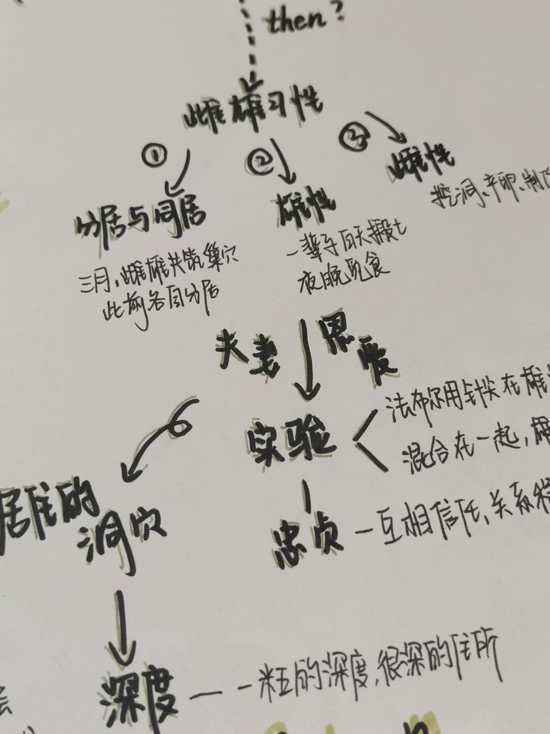 昆虫记米诺多蒂菲章节详解