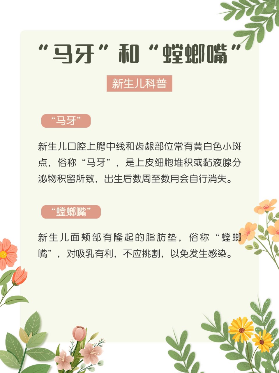 婴儿螳螂嘴图片原因图片