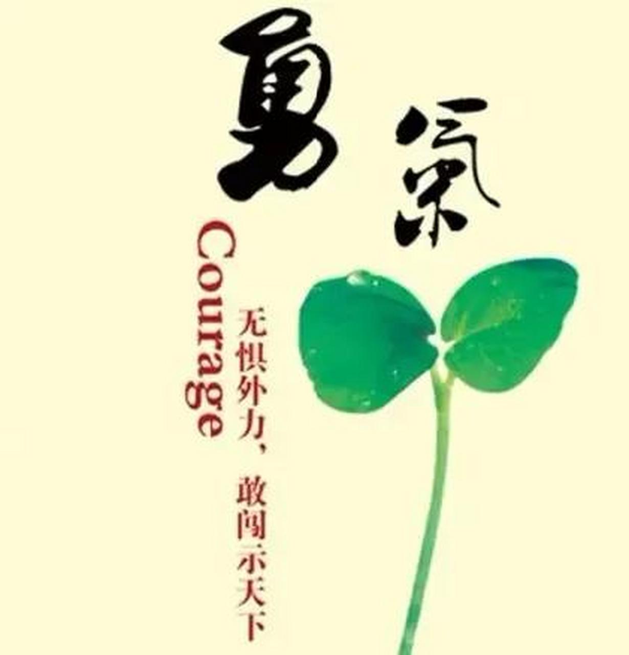 改变自己就要面对自己,面对自己不敢真实看到的一面比如"愚蠢的事""