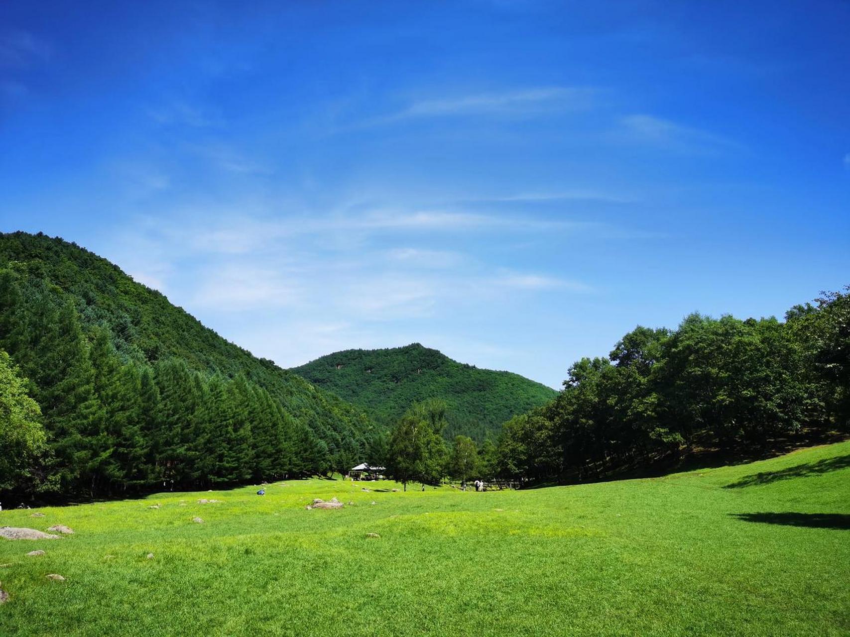 伊春金山鹿苑,自然环境还是保护的不错.