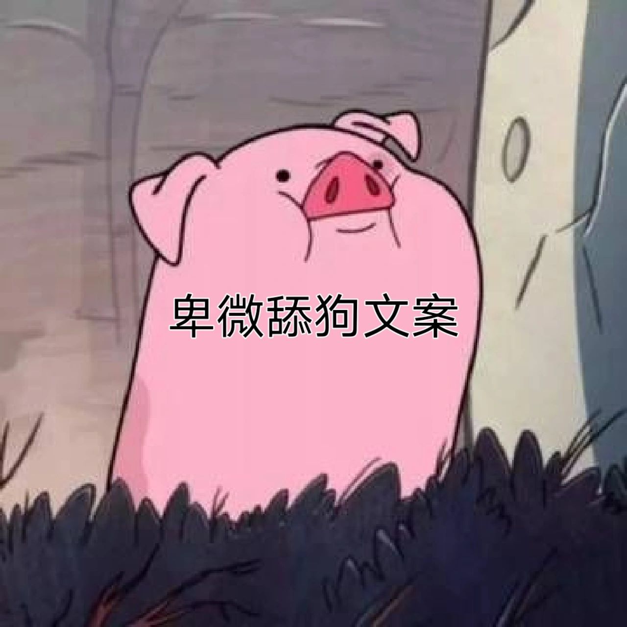 卑微舔狗文案 1.