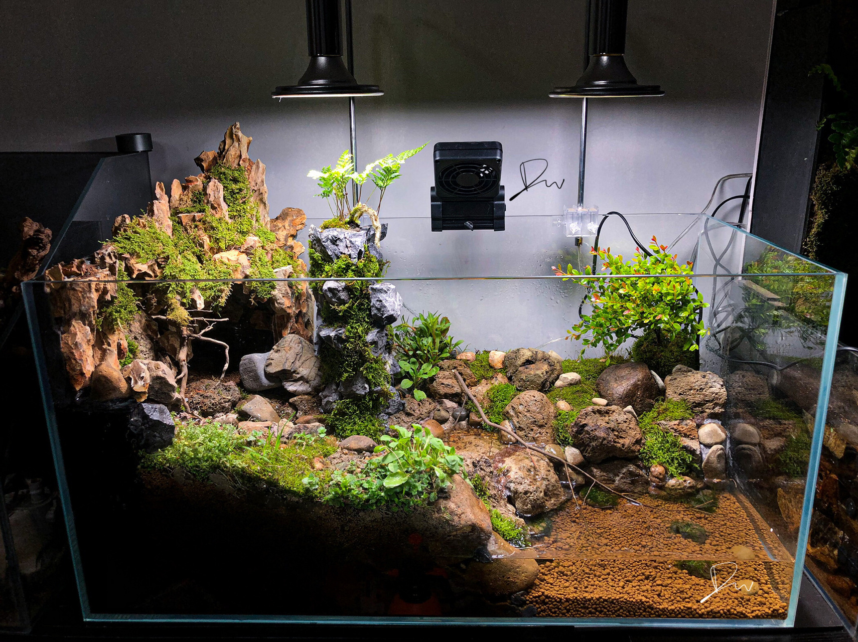 植物空间|两栖水陆爬宠造景生态缸 尺寸(80*40) 店铺(如花景艺) 作者