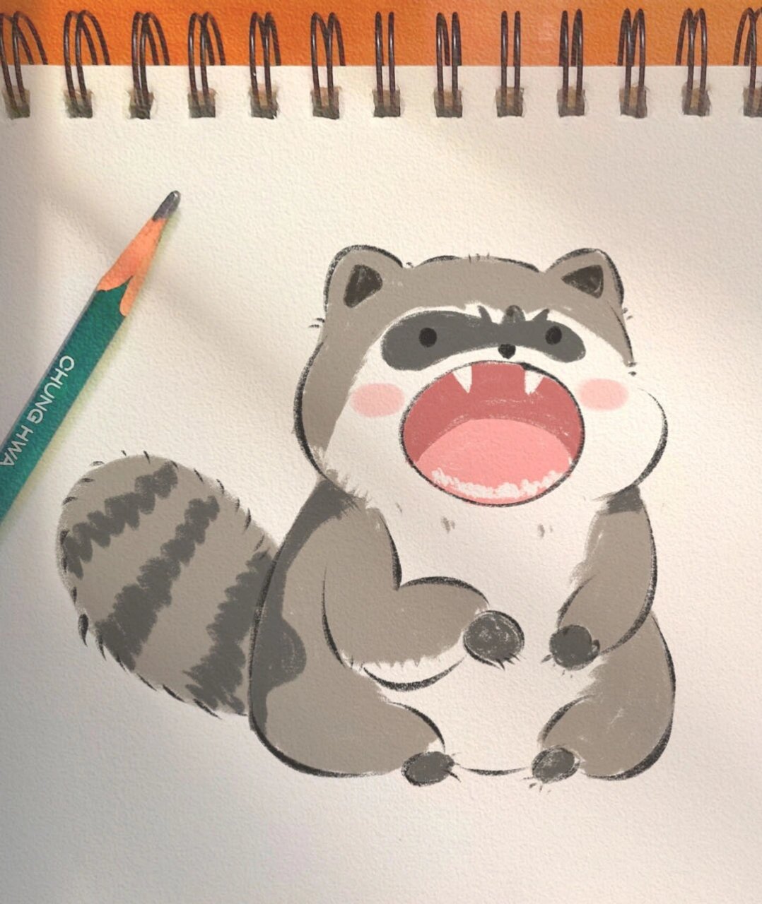 有手就会超可爱简笔画(附过程) 小浣熊简笔画