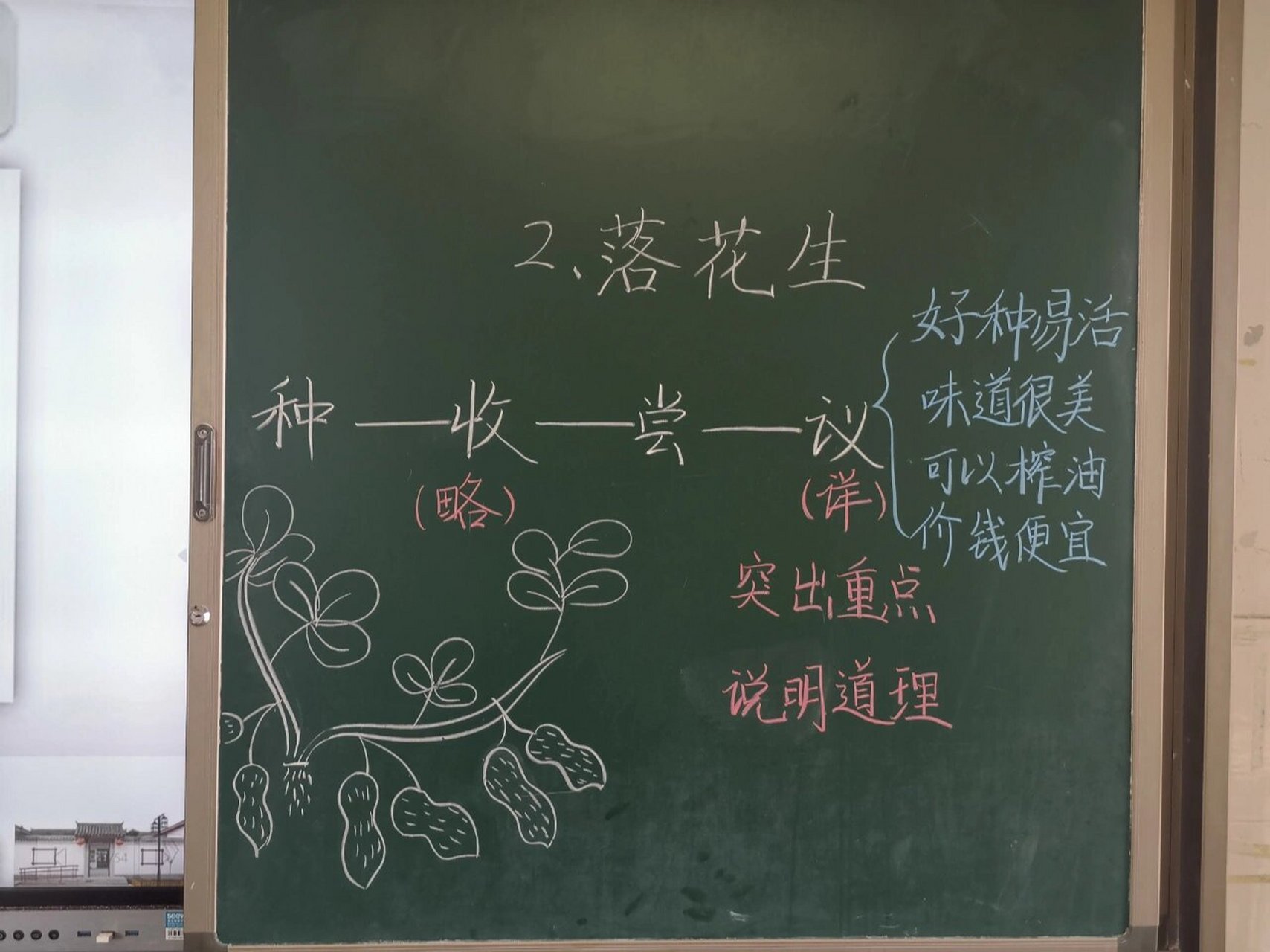 落花生板书 周一回来第一节课果然还是不怎么进入状态啊,生字上花了