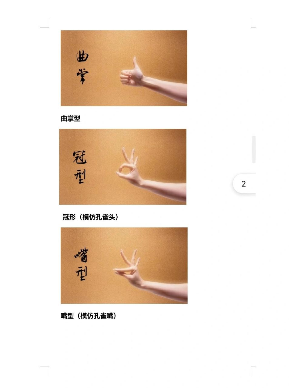 傣族舞基础手型