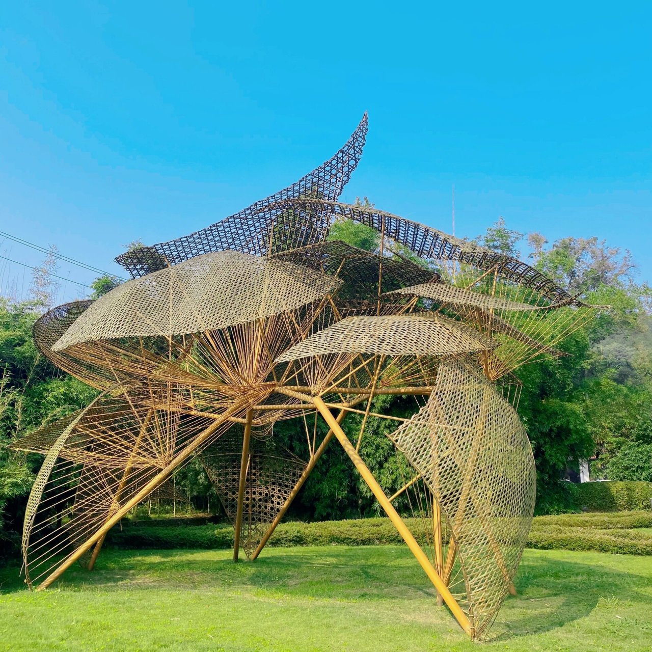 崇州·无根山·竹艺公园 99门票:免费(微信公众号预约) 9315