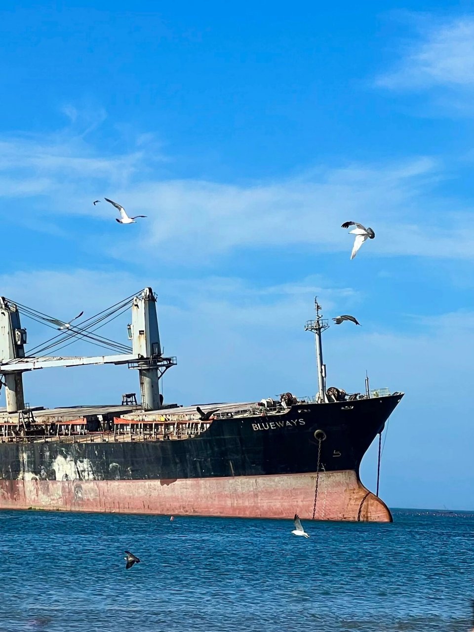 威海|08搁浅巨轮布鲁威斯号& 96粉红沙滩 搁浅的巨轮,听说之后要