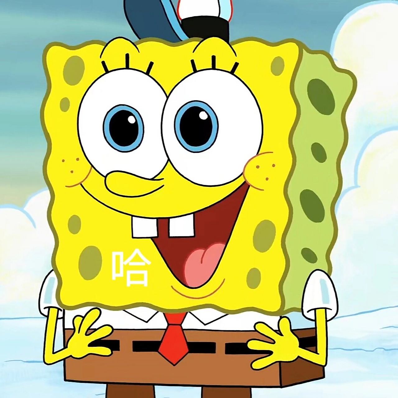 海绵宝宝的大头照|表情包合集1156621566 一字表情包