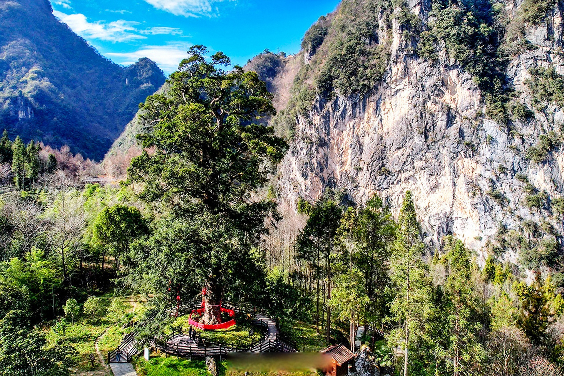 【神农坛景区| 感受千年杉王的神秘与神农氏雕像的庄重】    来神农架
