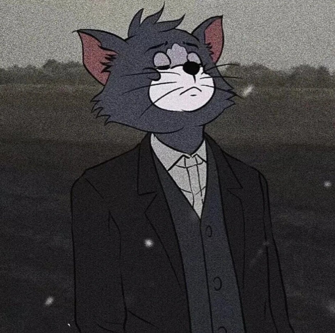 汤姆 汤姆头像|超酷的bo y 丧气汤姆西装头像 高冷帅气的汤姆猫tom