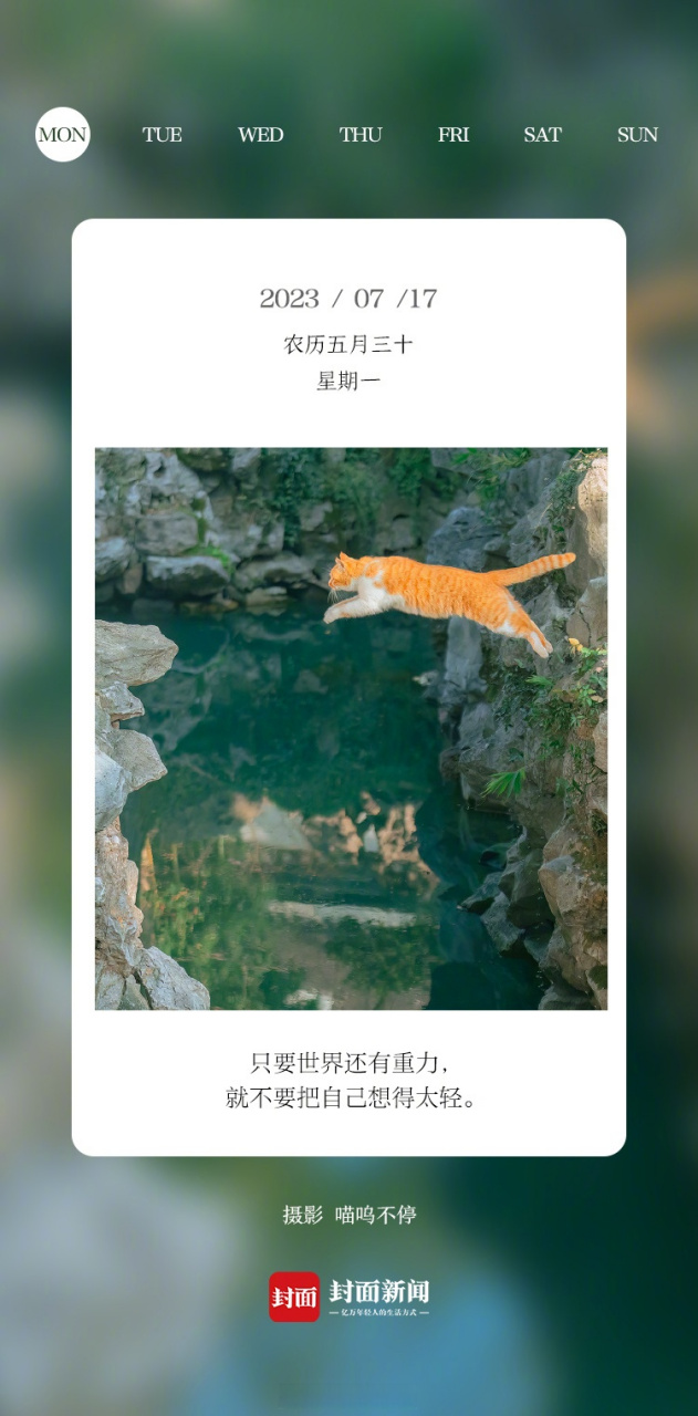 小封日历#早安,到周一啦!又是元气满满的一周,今天叫醒你的是_____?