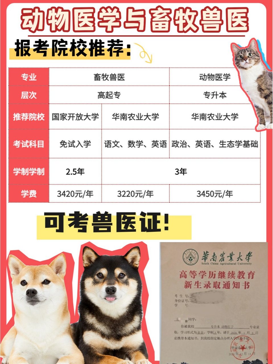 能考兽医证7099|动物医学与畜牧兽医码住 世界破破烂烂,猫猫狗狗