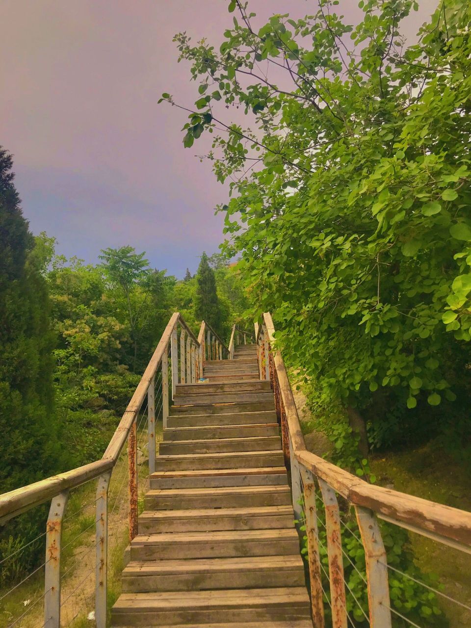 济宁邹城护驾山 09地址:山东省济宁市邹城市护驾山公园内07自驾