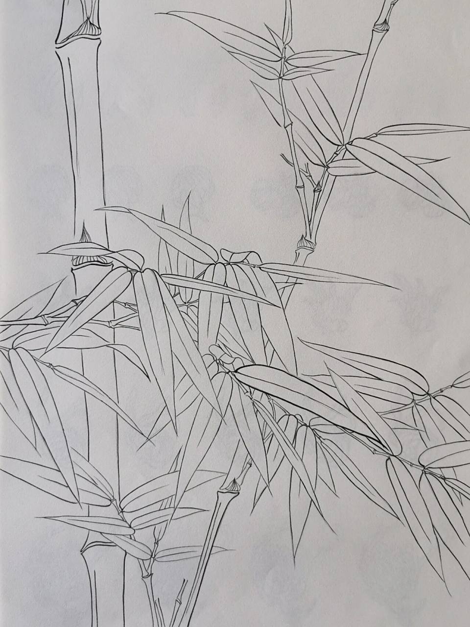 工笔绘画～竹子 工笔竹子和写意竹子从绘画感觉还是很大区别,看个人