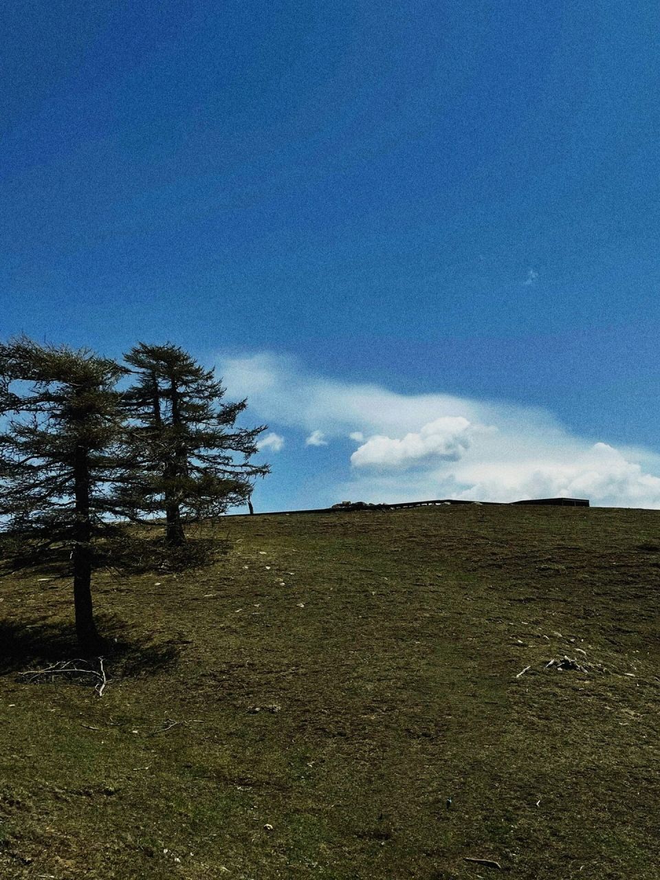 娄烦云顶山风景区门票图片