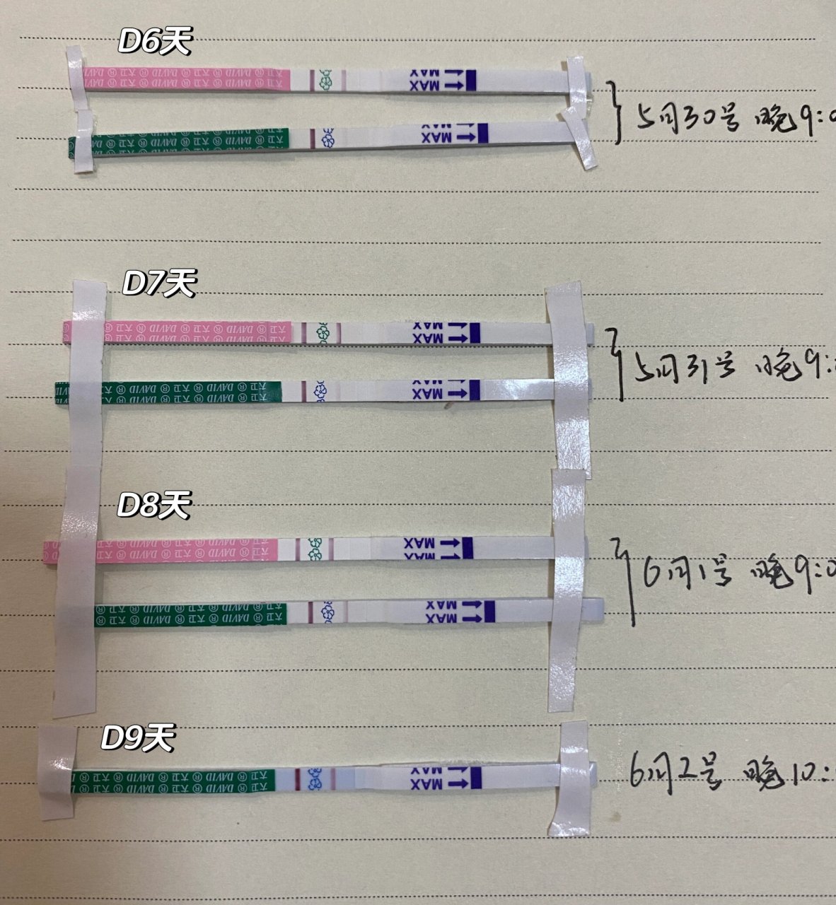 移植后试纸变化图图片