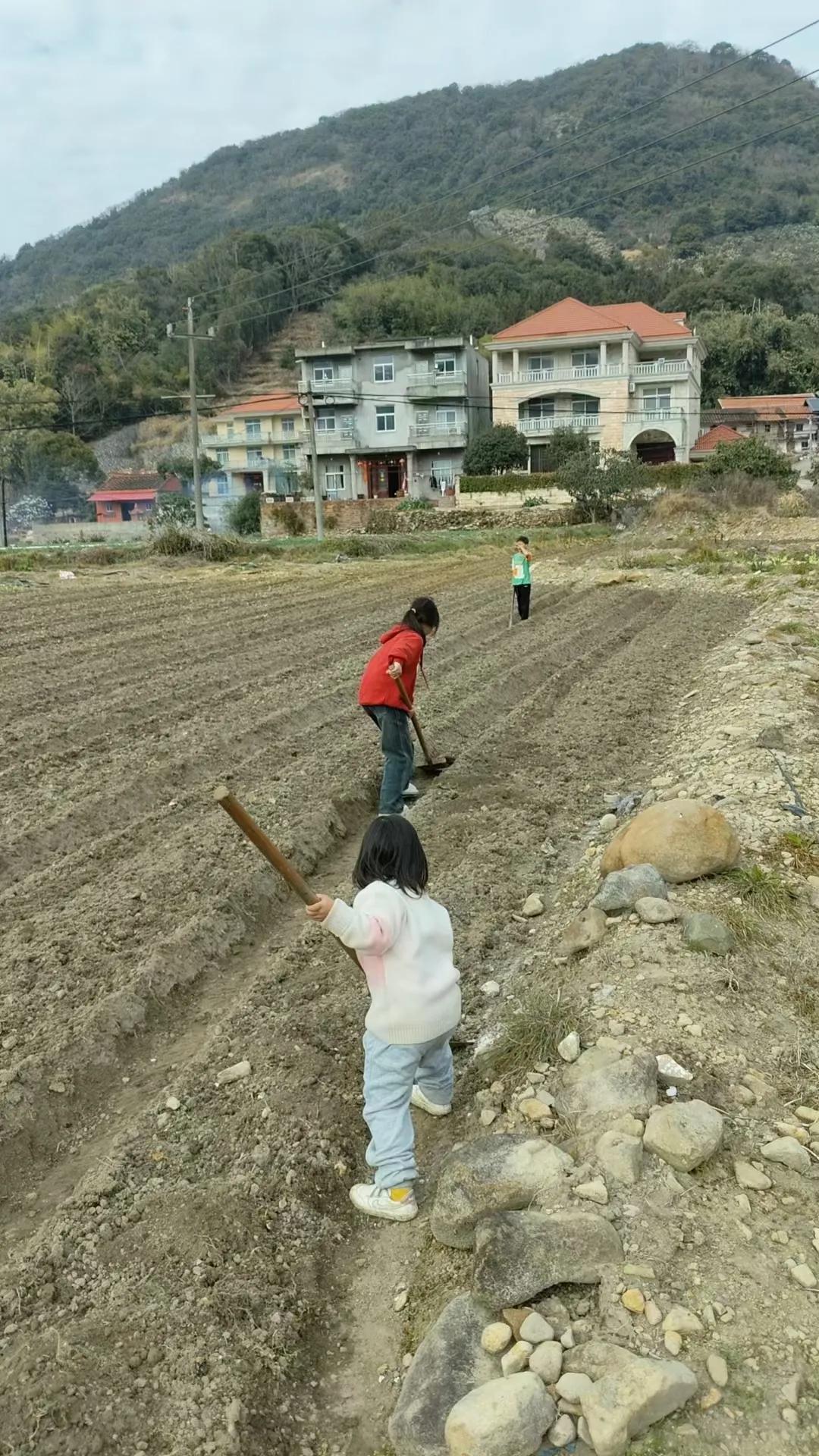 下地干活田间帮父母劳动农村种地播种的人回家种地担铲到田划沟种地