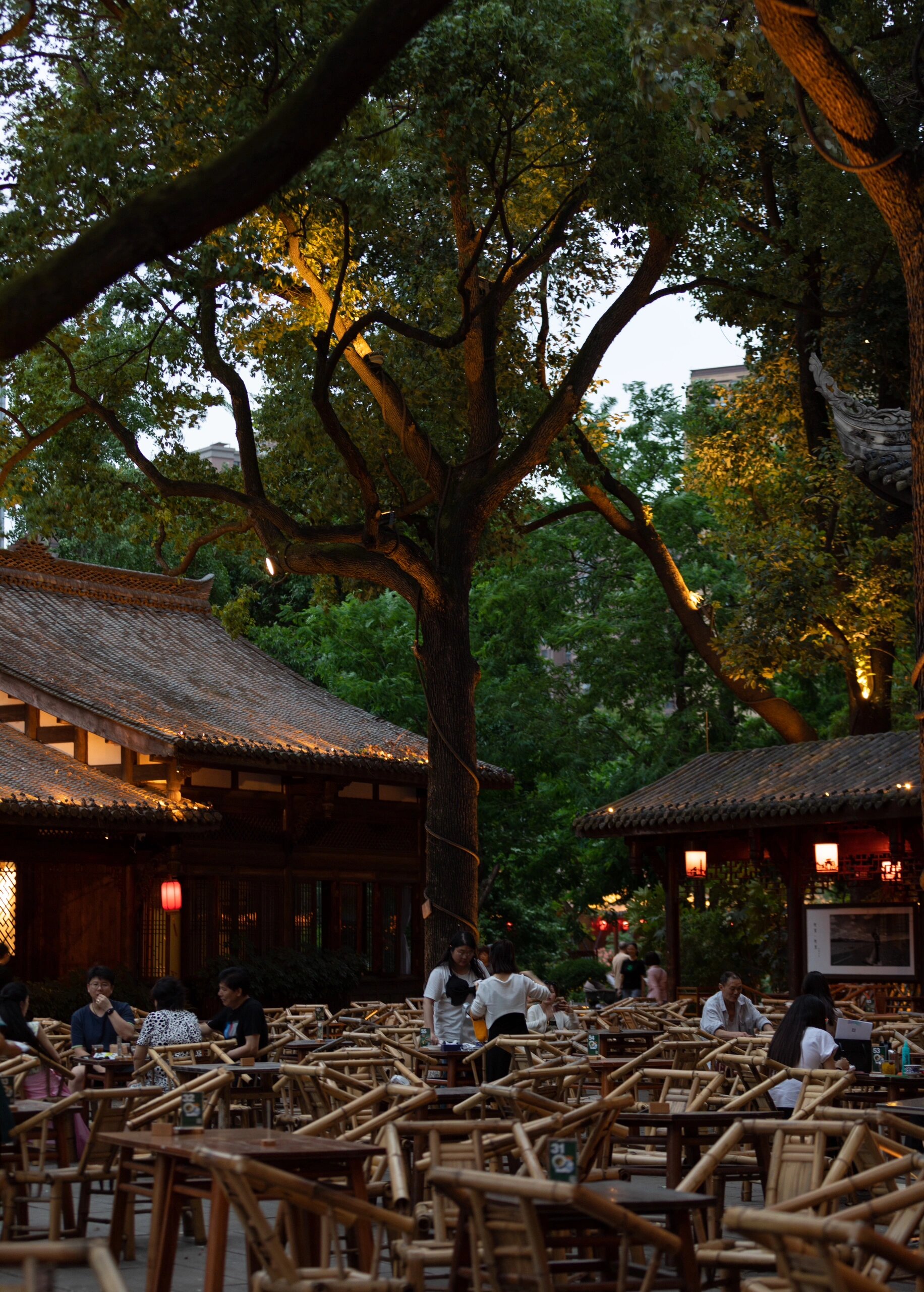 铁像寺水街素食餐厅图片