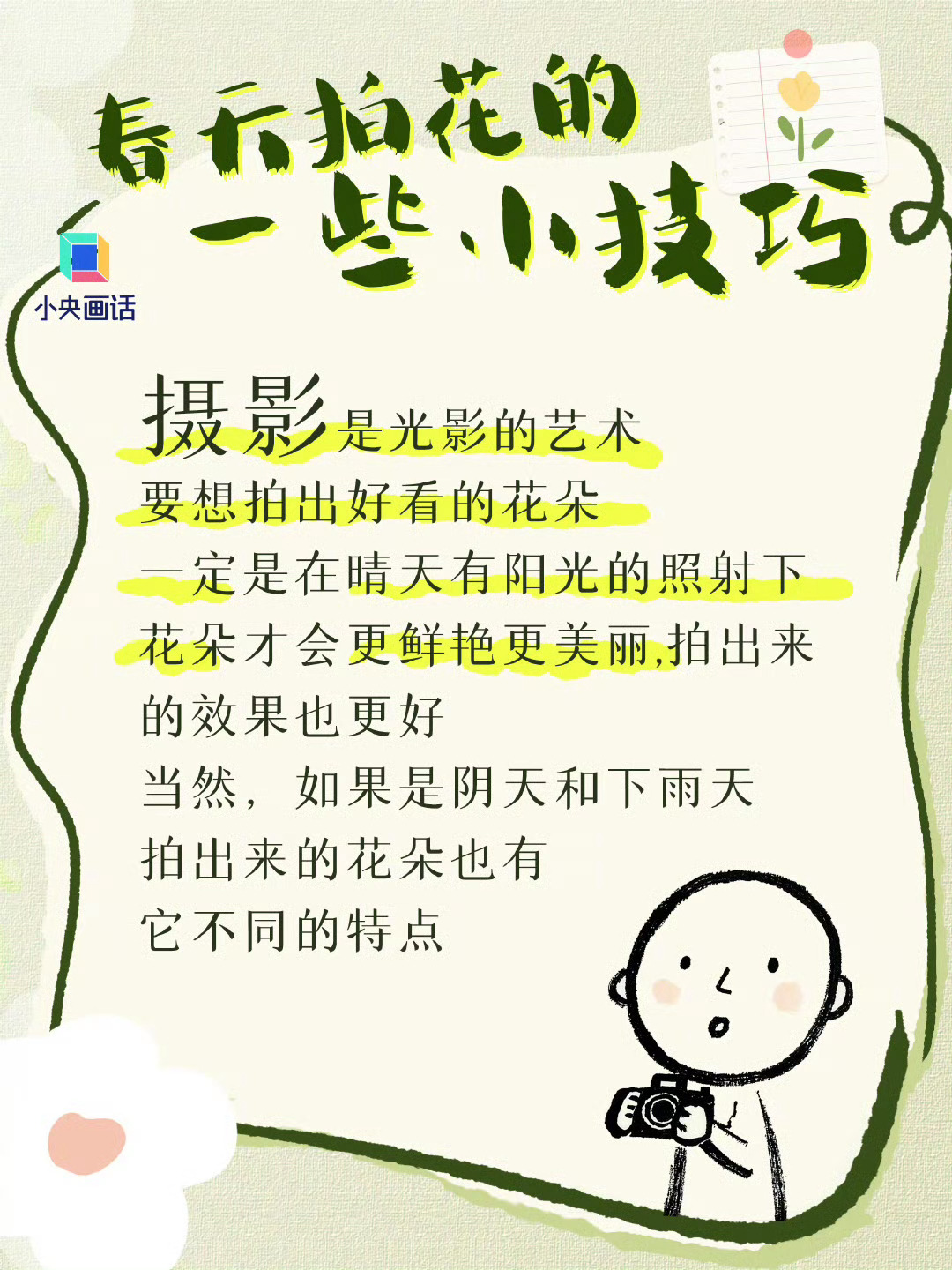 花粉拍摄影视教程，技巧大全