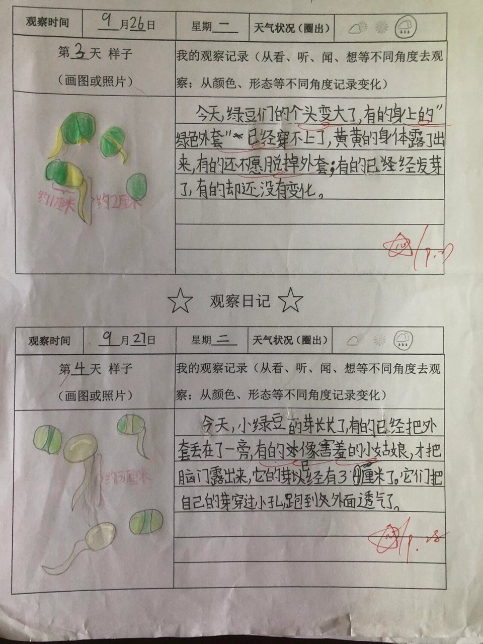 每日观察日记怎么写(观察日记每天的观察日记)