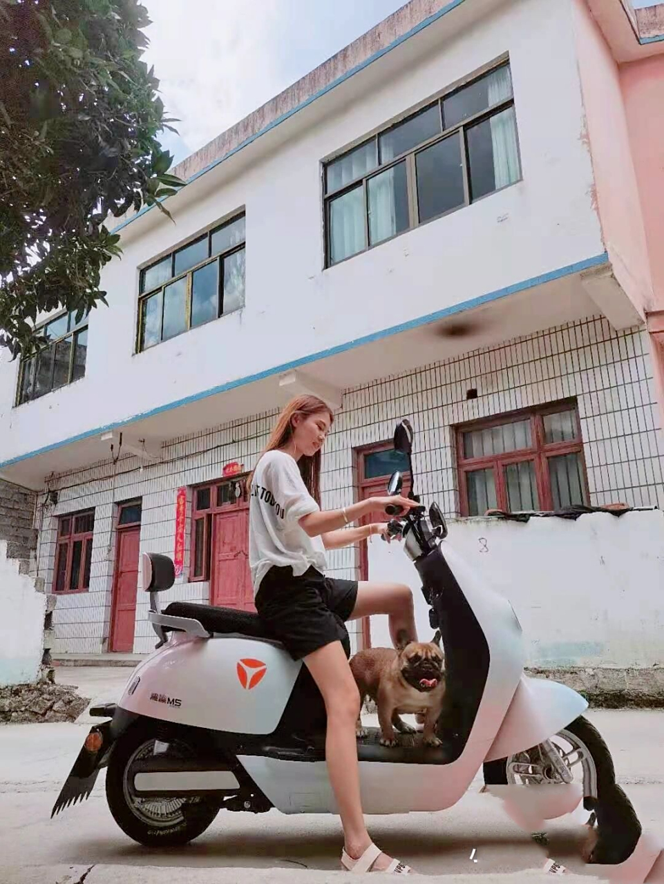 雅迪m5  间隔九年,第二次入手雅迪电动车,这次入手的是雅迪m5动力版,