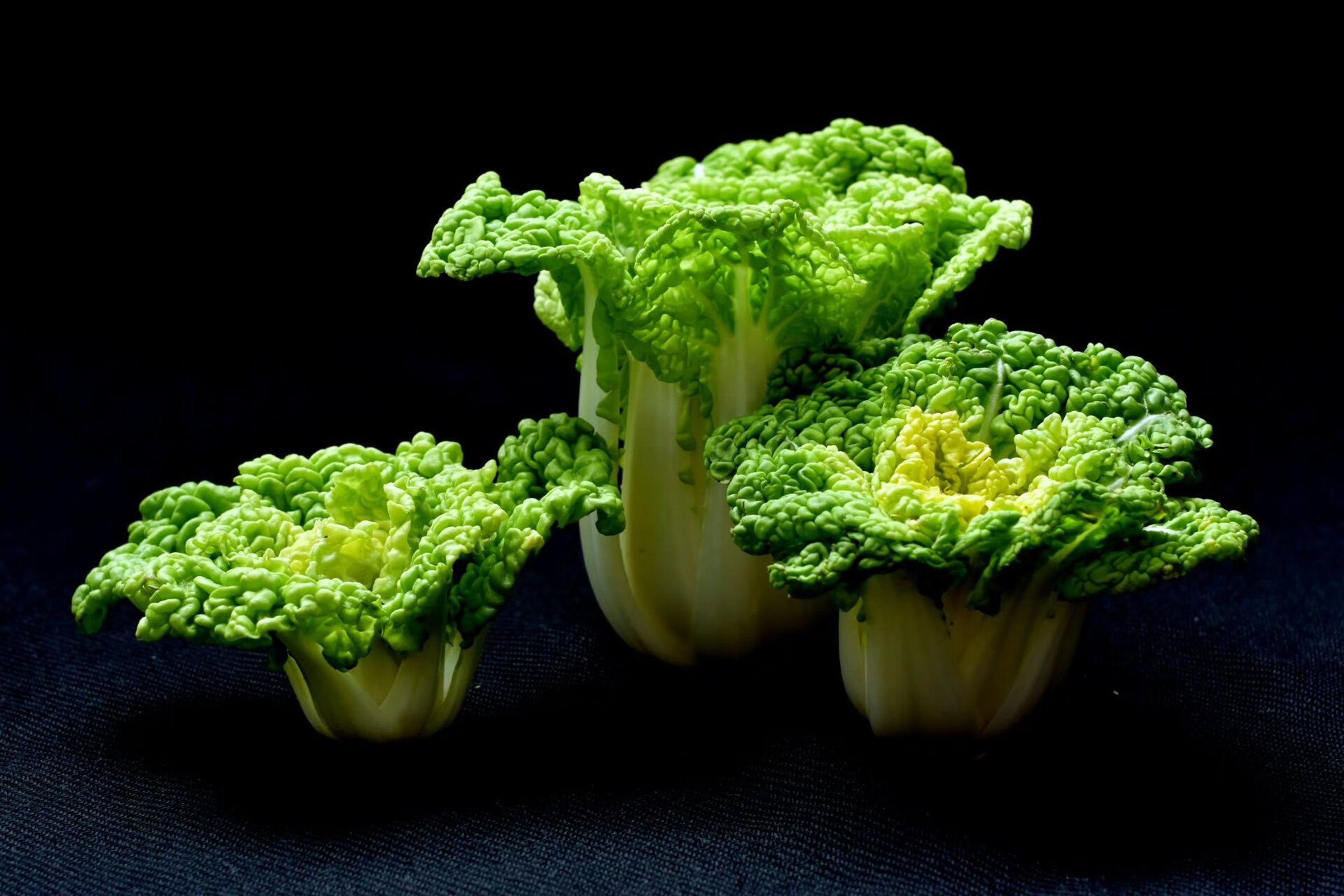 卷窝菜 十字花科  芸薹属,又名黄心菜,冬白菜,菊花心,在豫南信阳有