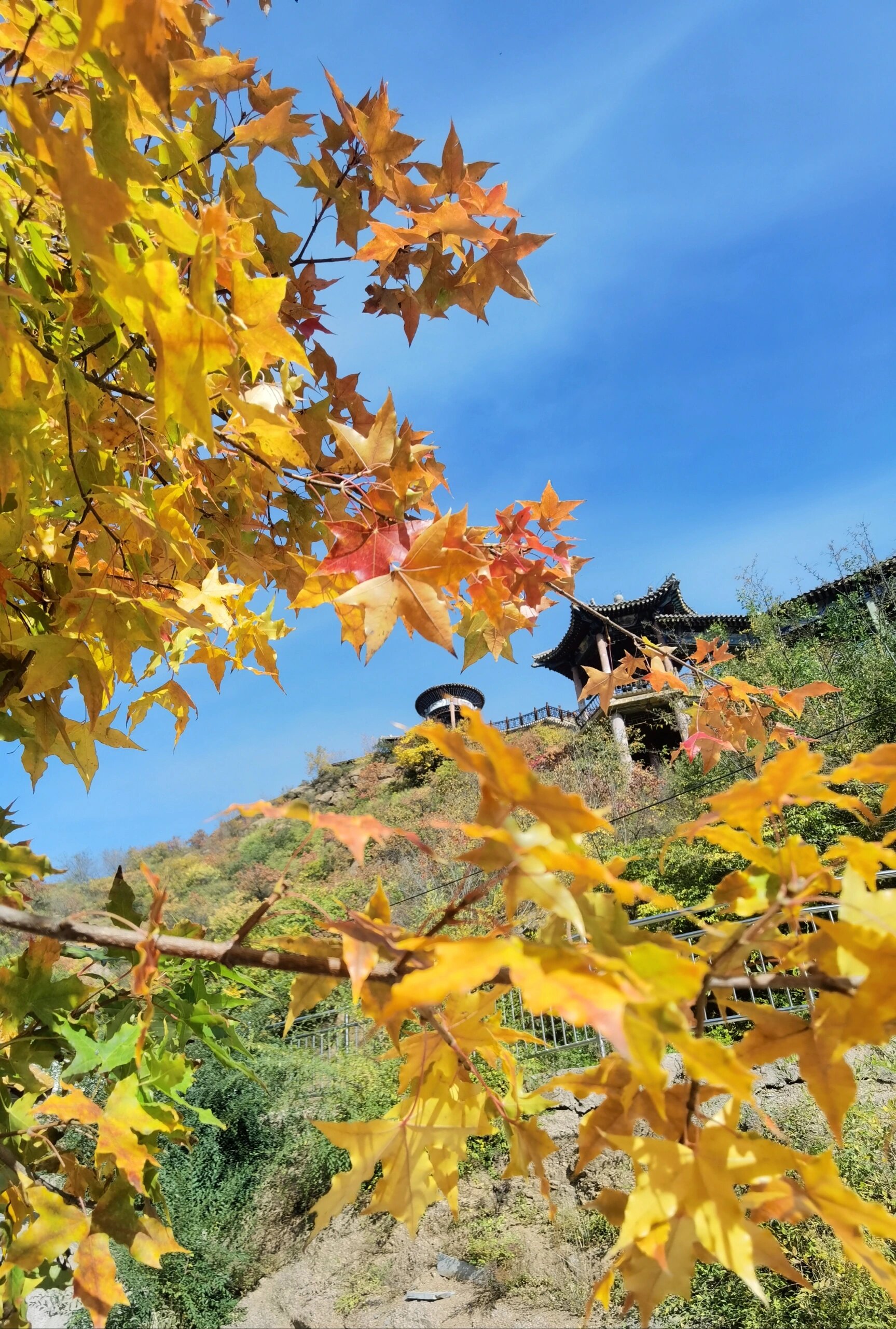 赤城温泉7615  今天的赤城温泉,好歹也是4星景区,人还没有82多
