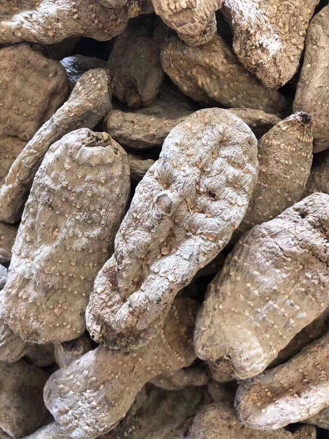 云南高原野生乌天麻