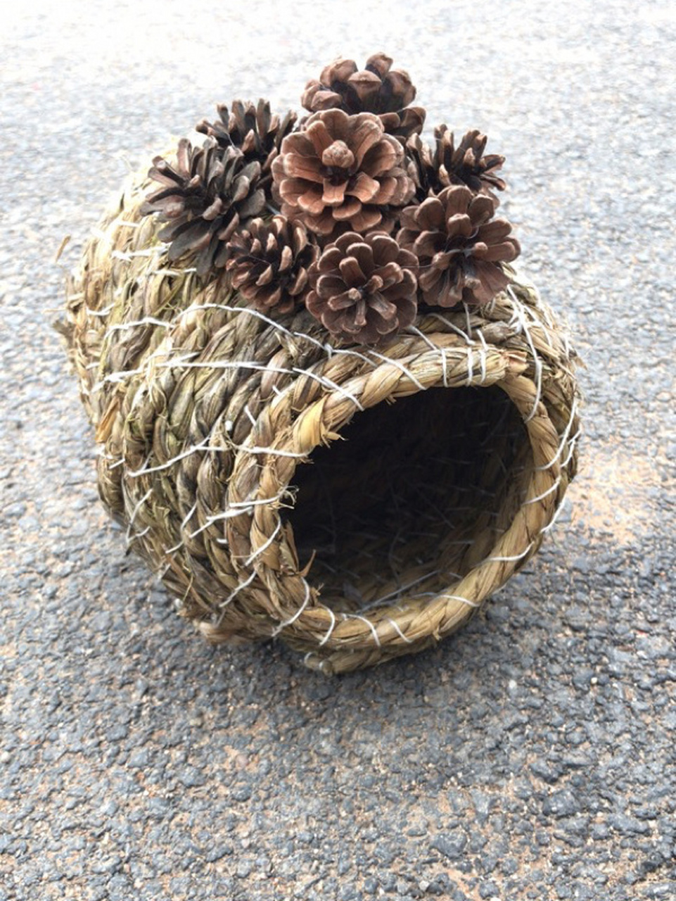 麻绳 草绳编下蛋窝 手工制作 买了4只下蛋鹌鹑,网上一搜下蛋窝需要几