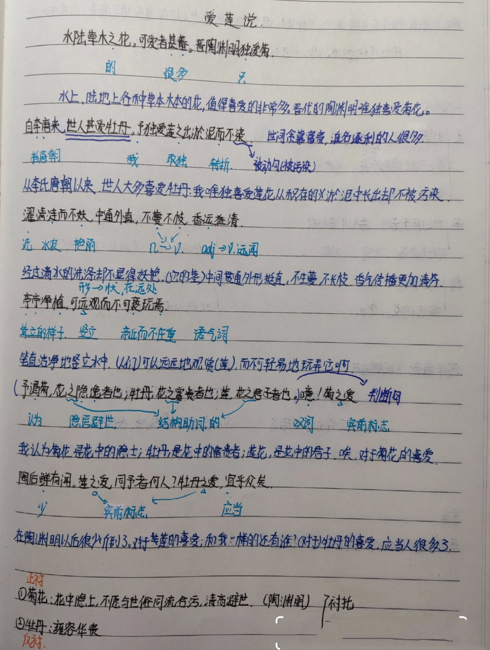 七下语文《爱莲说》笔记本笔记 仅供参考