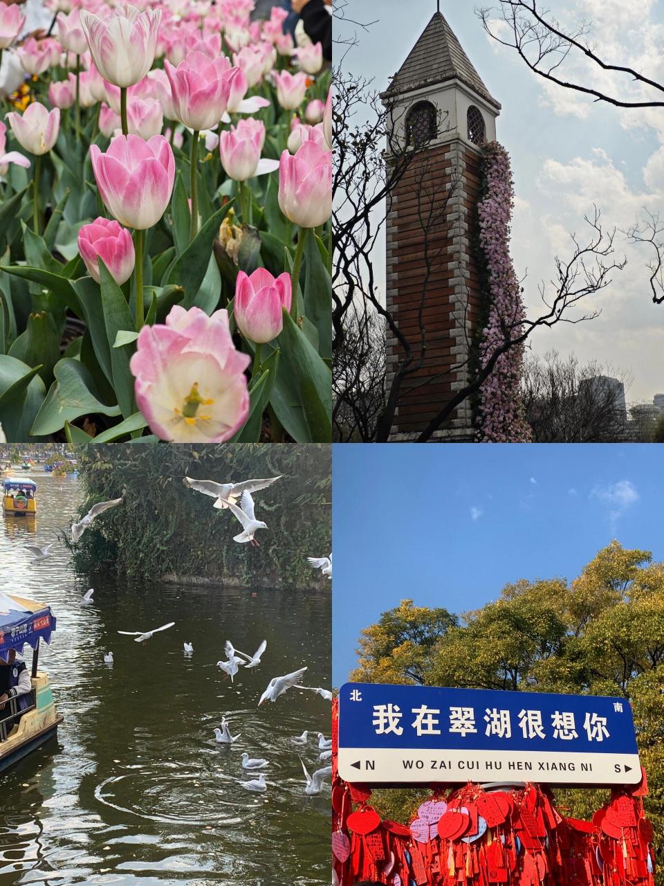 大学生穷游不可错过的昆明八大打卡点 16615斗南花市 7199