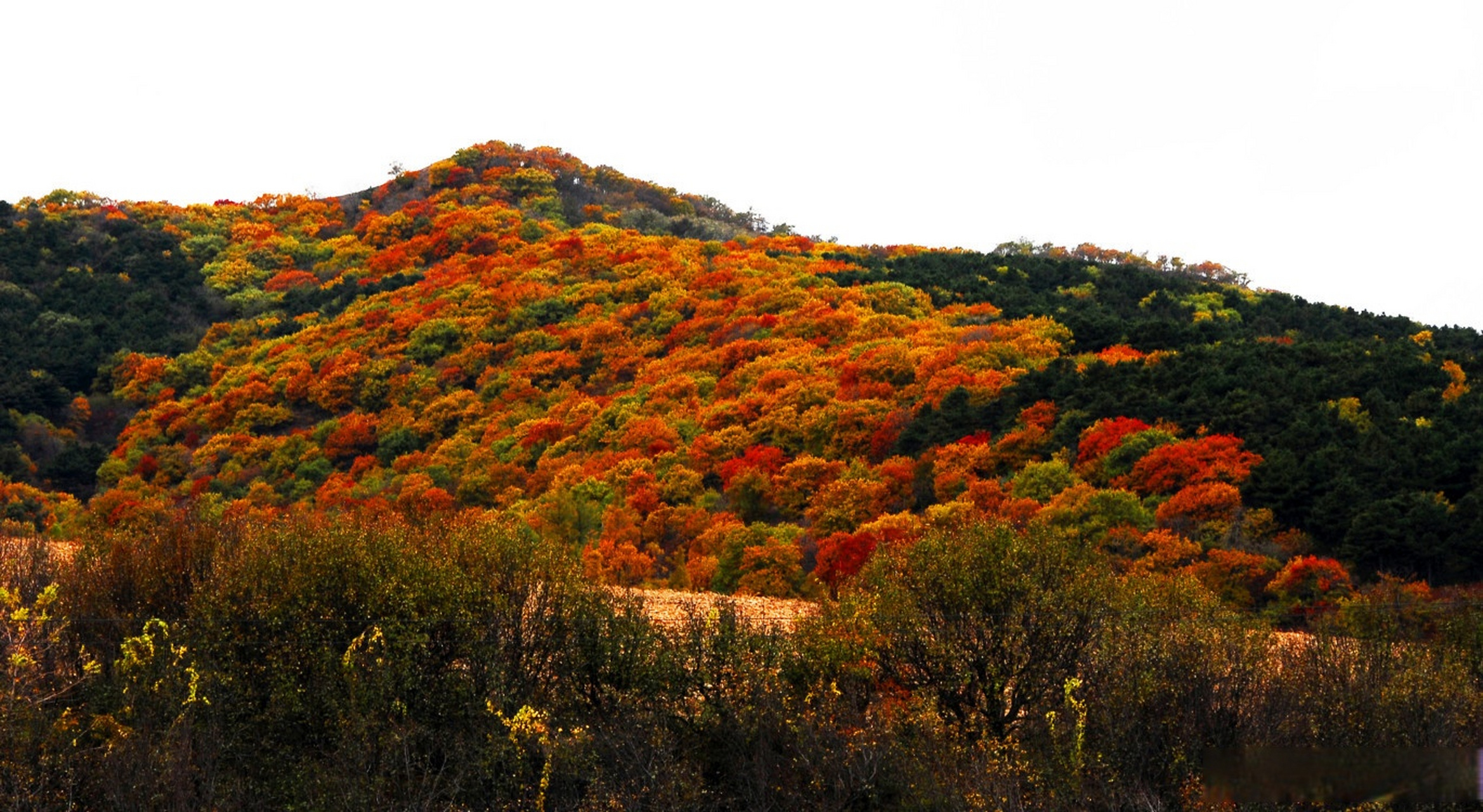 【沈阳最高峰——巴尔虎山】#发现沈阳之美##一路向北有多美##美丽